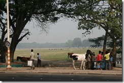 Kalkata, Maidan