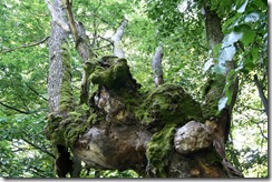 Slovenský raj, Piecky