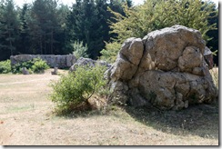 Ukrajina 2009, Wehrwolf