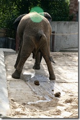 Bojnice, ZOO