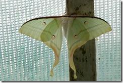 Botanická záhrada Koice