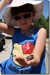 Rodos 2011