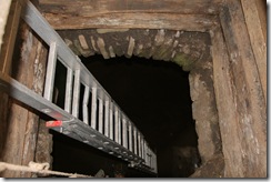 Šarišský hrad 2011