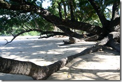 Sabang, Palawan