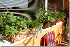 Balkon 2012