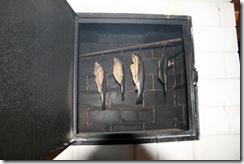 Plavec akcia