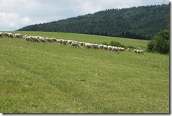 Prvy prazdninovy tyzden, Orlov