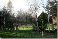 Pred rubanim