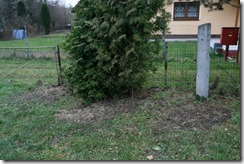 Po rubani a sadeni