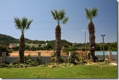 Rodos 2015, Faliraki