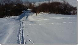 Pastovnik