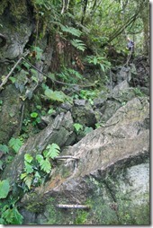 Borneo, Gunung Mulu, Pinnacles