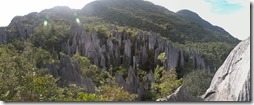 Borneo, Gunung Mulu, Pinnacles
