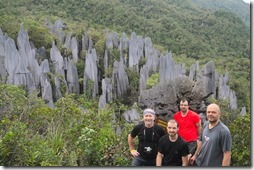 Borneo, Gunung Mulu, Pinnacles