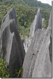 Borneo, Gunung Mulu, Pinnacles