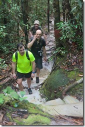 Borneo, NP Bako