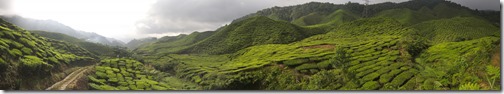 Cameron Highlands