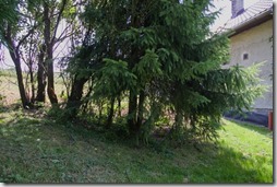 20190719_115040