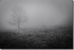 20191123_120711