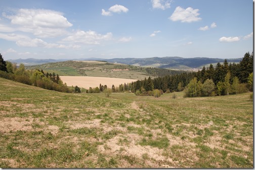 Škandinávska žena