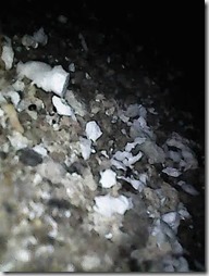 PIC0040_2
