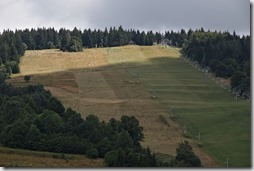20210802_103502