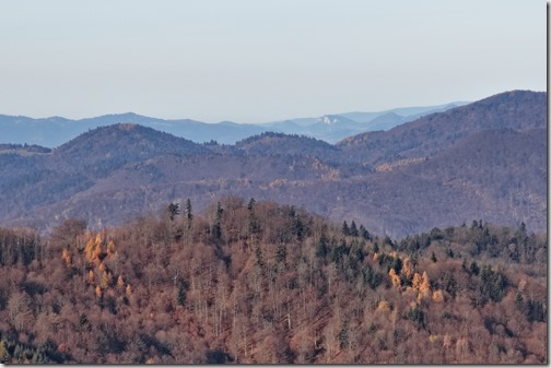 20221112_095640