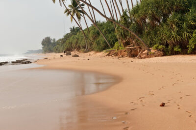 Srí Lanka
